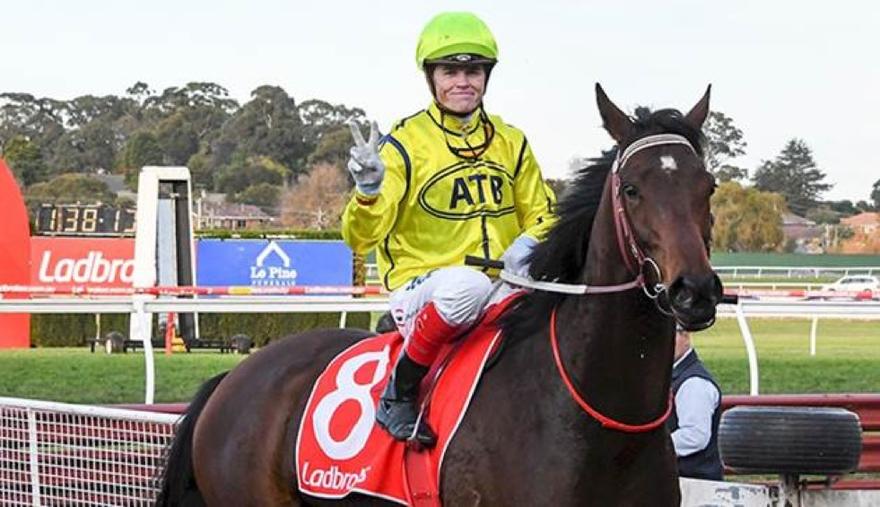 Yogi Sandown 140617.JPG