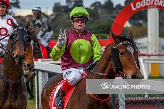 Gibbon Sandown 280617.JPG