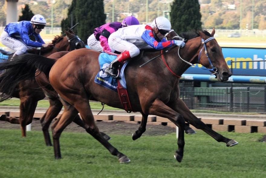 Ability MV 030617.JPG