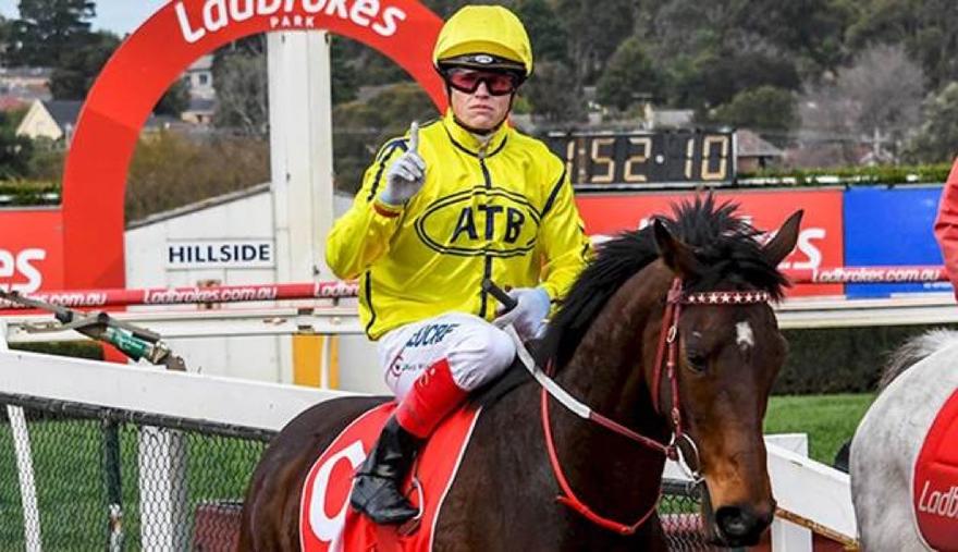 Yogi Sandown 280617.JPG