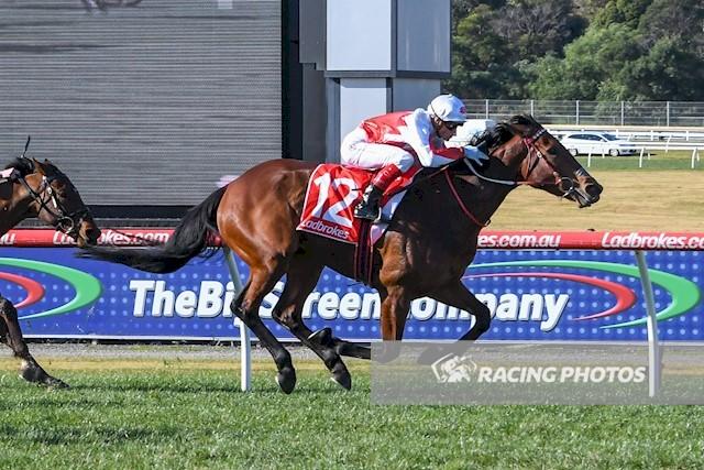 Sea The Sparkle Sandown 120717.JPG