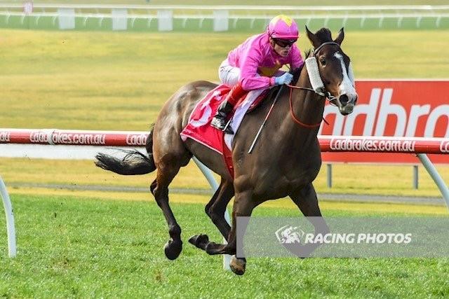 Tan Tat Trusting.jpg