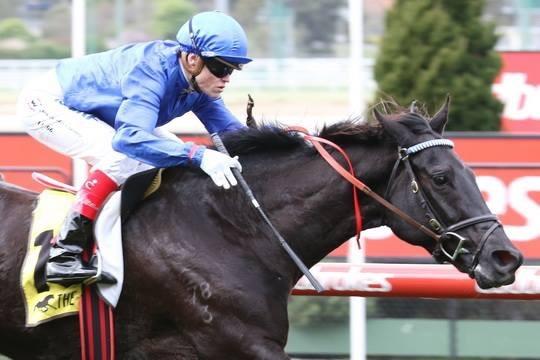 Fragonard Moonee Valley 26 August 2017.jpg