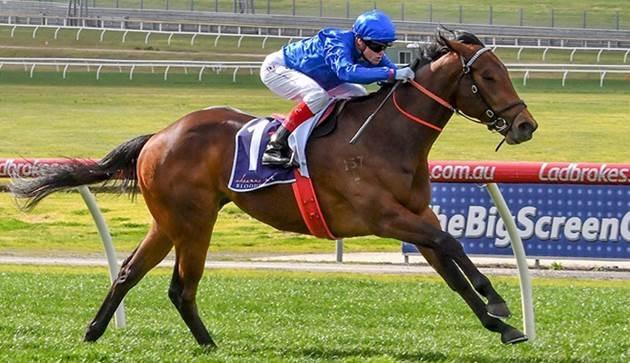 Esperance Sandown 16 August 2017.jpg