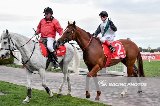 Grande Rosso Caulfield 2 September 2017.jpg