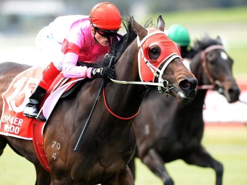 Wassergeist Sandown 6 September 2017.jpg