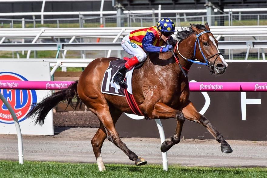 Theanswermyfriend Flemington 16 September 2017.jpg