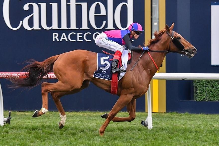 Vega Magic Memsie Caulfield 2 September 2017.jpg