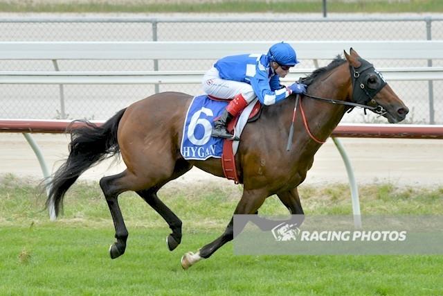 Free Fly Too Kilmore 241017.jpg