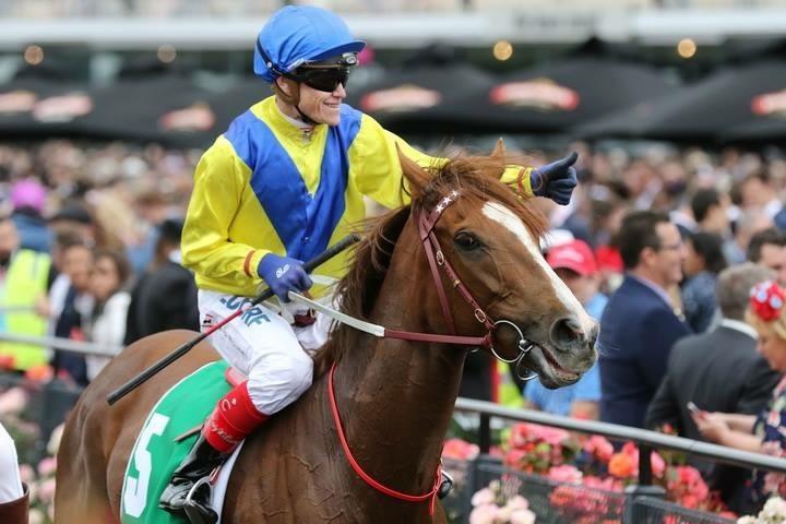 Tahanee Flemington (Cup Day) 7 November 2017.jpg