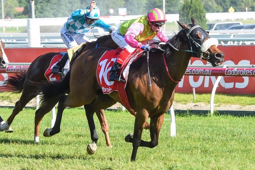 Pravro Caulfield 26 December 2017.jpg