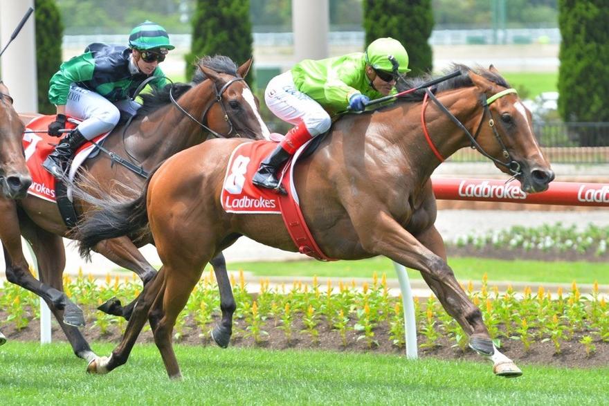 Truly Discreet MV 23 December 2017.jpg