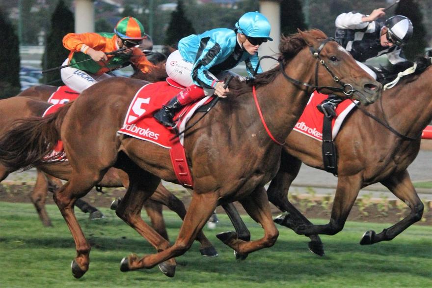 World Of Hope Moonee Valley 8 December 2017.jpg