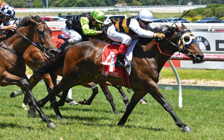 Serenade The Stars Caulfield 26 December 2017.jpg