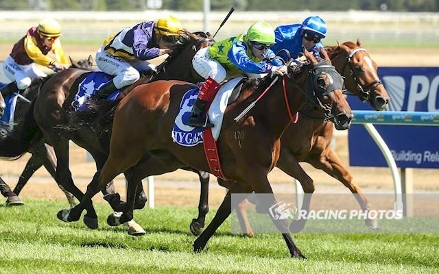 Domino Vitale Ballarat 14 January 2018.jpg