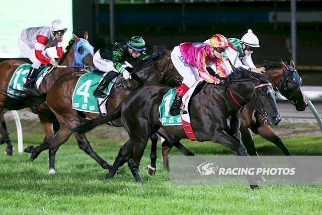 Shallotti Cranbourne 5 January 2018.jpg