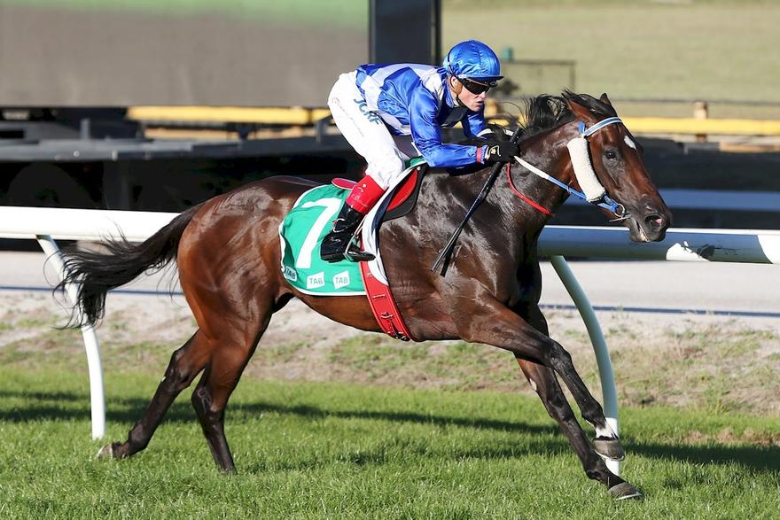 Dramatist Cranbourne 5 January 2018.jpg