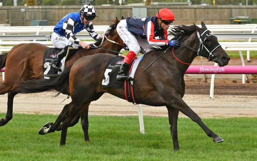 Pretty Punk Flemington 13 January 2018.jpg