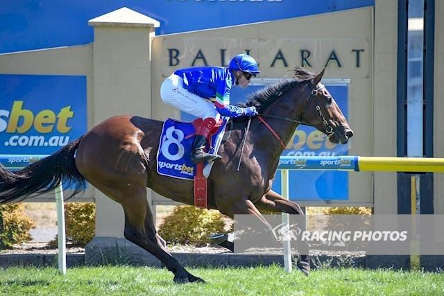 Trojan Storm Ballarat 16 January 2018.jpg