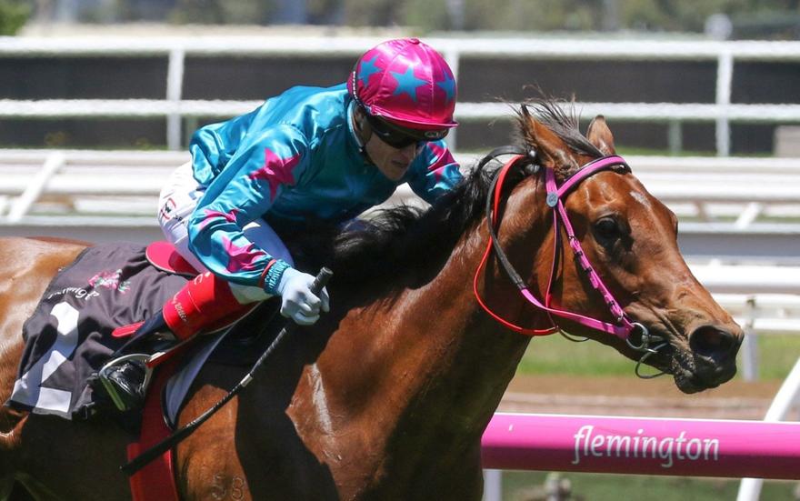 Crossing The Abbey Flemington 1 January 2018.jpg