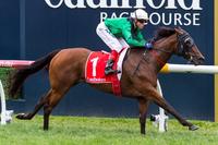 Williams not Silent on mare's chances