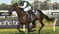 Group 1s addictive for Williams