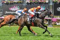 Flemington thrill for Williams family