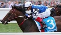 Triple G1 hopes for Australian Bloodstock