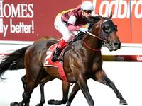 Hellbent wins William Reid Stakes at Moonee Valley