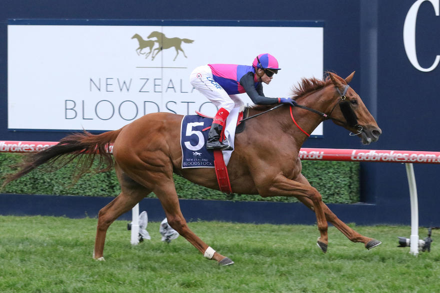 Vega-MagicNew-Zealand-Bloodstock-Memsie-StakesGroup-1_02-09-2017_WIN_Caulfield_7__1067.jpg