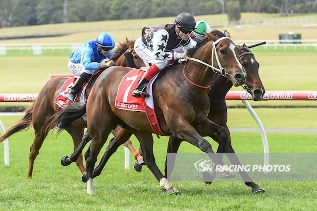 Silence The Stars.jpg