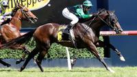 Noblet chasing the Cash again with Super in UBET Classic 2018