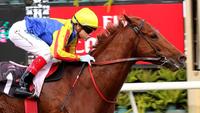 Craig Williams on Spieth in Doomben 10,000