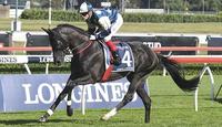 Ambitious favourite to break drought