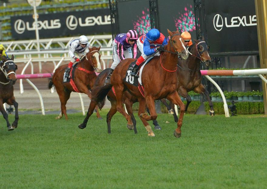 Maagic Consol Flemington.JPG