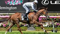 Williams booked for Dream ride