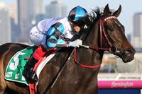 Talented filly Amphitrite wins Group 2 Edward Manifold Stakes