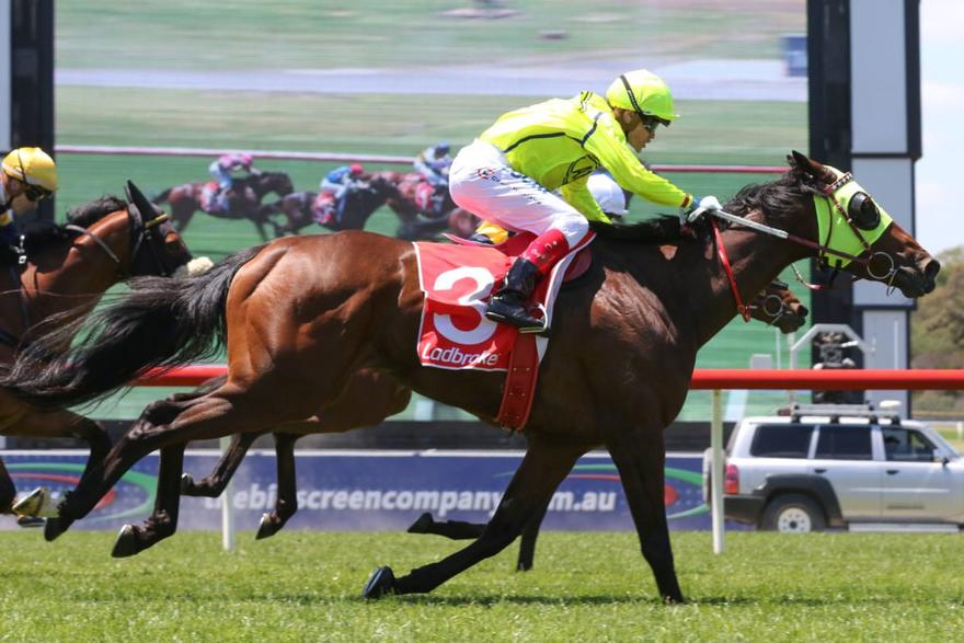 Yogi Sandown Listed Race.JPG