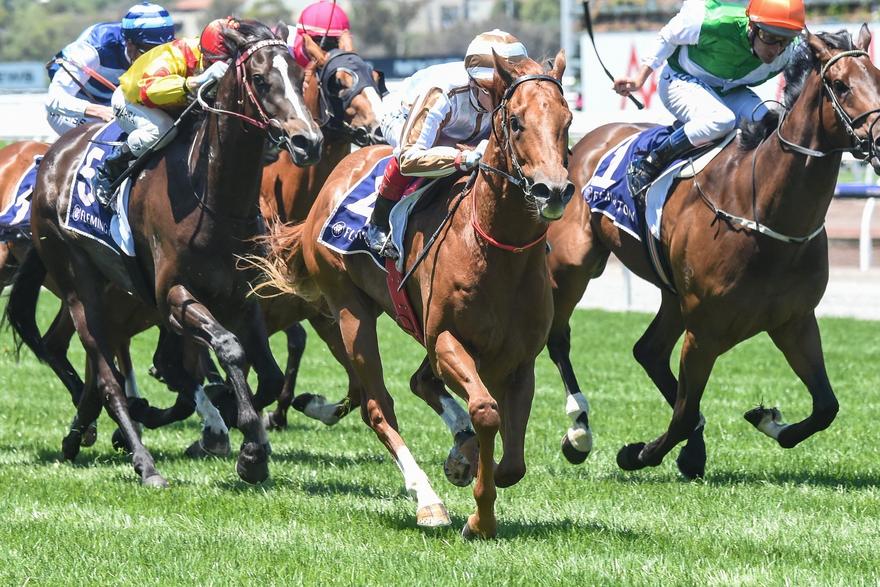 Poised To Strike 1.JPG