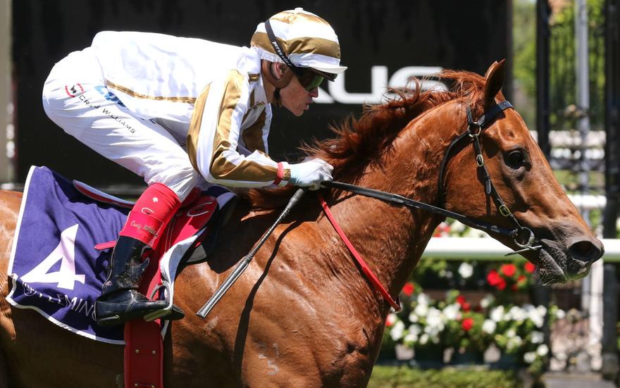 Poised-To-Strike_22-12-2018_WIN_Flemington_2__229-734x460@2x.jpg