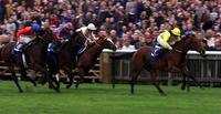 Dewhurst winner and Derby third Tobougg dies at stud aged 20