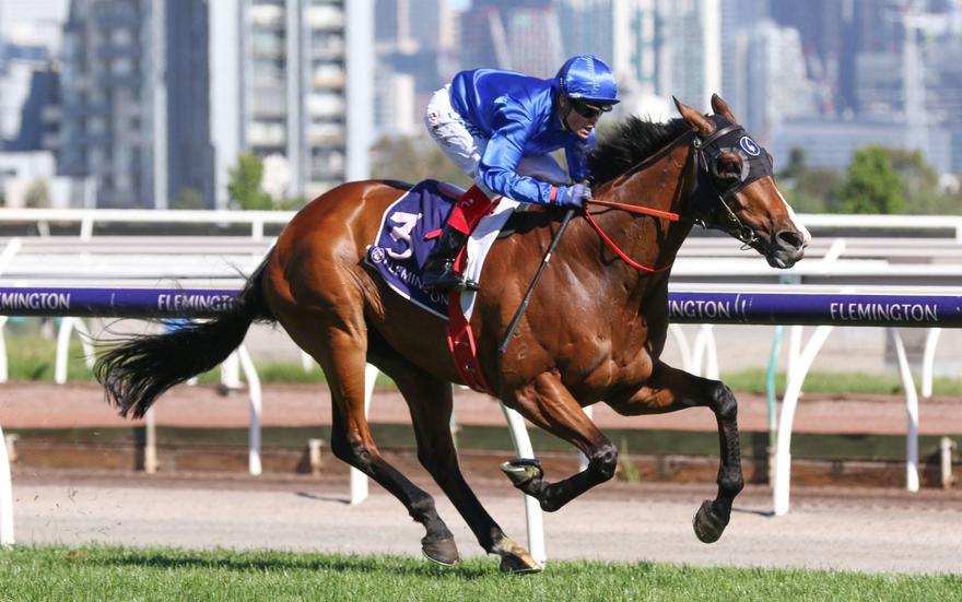 EtymologyBagot-HdcpListed_01-01-2019_WIN_Flemington_7__1596-734x460@2x.jpg