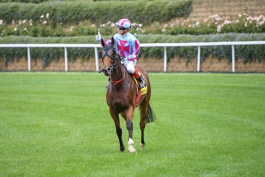 Al Galayel Dec MV.JPG