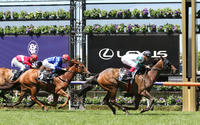 Pure Scot lands her first Flemington win