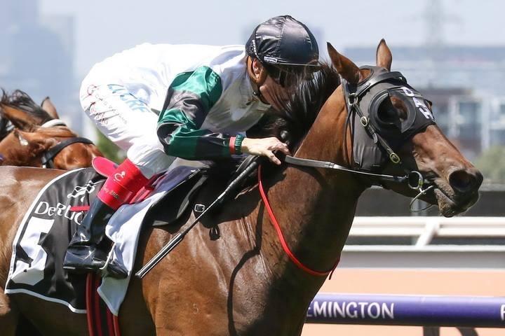 Pure Scot Flemington.JPG