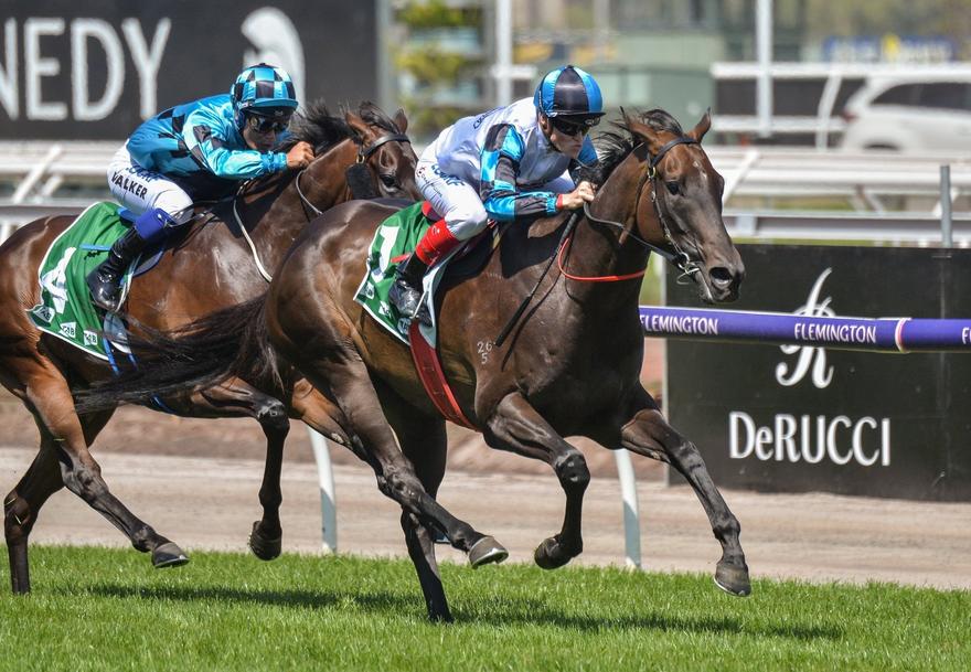 Amphitrite Flemington 2019.JPG