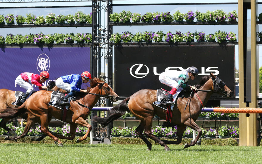 Pure-Scot_16-02-2019_WIN_Flemington_1__76-734x460@2x.jpg