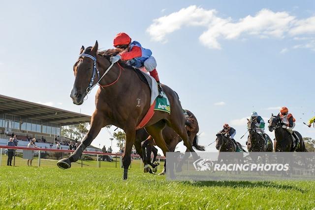 Admiral's Joker .JPG