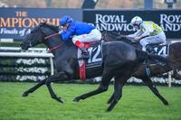 New Stakes Winner for Medaglia d'Oro