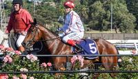Challiot shows classic potential